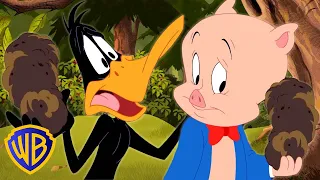 Looney Tunes en Français 🇫🇷 | Daffy ADORE la truffe | WB Kids