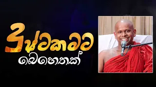 දුෂ්ටකමට බෙහෙතක් | Venerable Welimada Saddaseela Thero