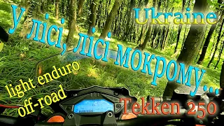 Чому б не лісом, якщо на Tekken 250? Light enduro in the wet forest. Off-road in Ukraine.