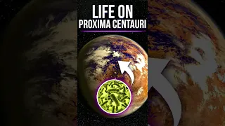 Could There Be Life On Proxima Centauri? #shorts