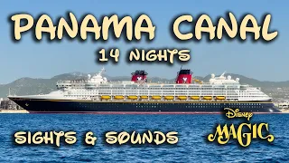 Disney Magic LONGEST Domestic Cruise (Panama Canal) 14 Nights 2023 - Day by Day
