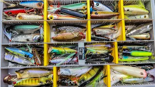 Topwater Lures Made Easy! (Beginner To Advanced)