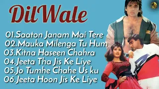 Dilwale Movie All Songs~Ajay Devgan~Raveena Tandon~Sunil Shetty~Musical Club