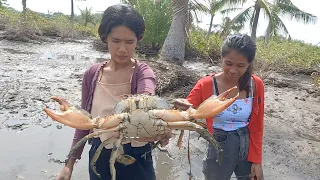 Brave Women Catch Giant Mud Crabs In Muddy after Water Low Tide