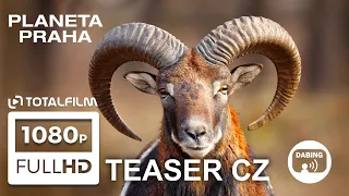 Planeta Praha (2022) HD teaser trailer