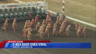 T-REX RACE GOES VIRAL