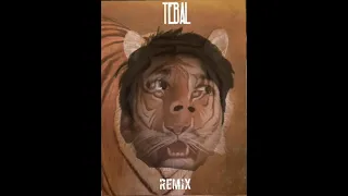 D-Hash - TEBAL (Remix) [Official Audio]
