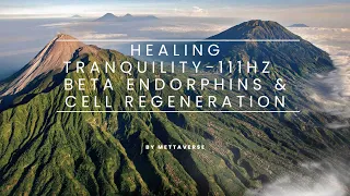 Healing Tranquility 111Hz  Beta Endorphins & Cell Regeneration