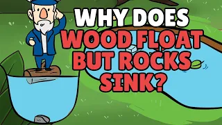Why Does Wood Float But Rocks Sink? | Objects that Float and Sink in Water