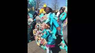 Black Feathers Big Chief Corey-Uptown Super Sunday