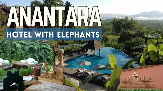 Best 5* hotel in Chiang Rai. Anantara Golden Triangle Elephants Camp & Resort