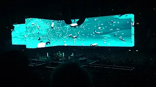 Roger Waters - Sheep Live at Ziggo Dome Amsterdam