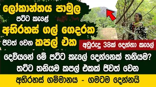 දෙවියනේ මේ අමු කැලේ කපල් එකක් අවුරුදු 38ක් තනියම හිටියේ කොහොමද?  - Redbanagama Secret Village