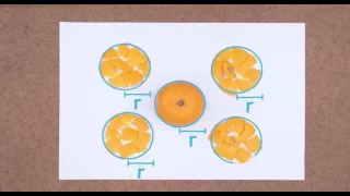 Finding Curved Surface Area of Sphere with an Orange