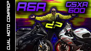 R6R O GSXR600 | CUAL ME COMPRO | which one do I buy?