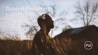 Guided Breathing - Equal Breathing to Calm and Balance Your Mind and Body