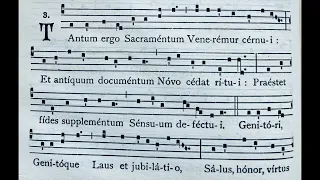 Tantum ergo sacramentum veneremur cernui