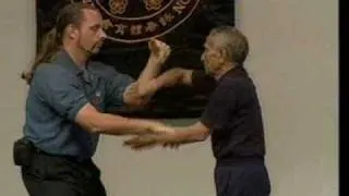 Ip chun chi sau Shaun Rawcliffe and others.wmv