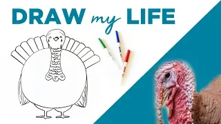 Draw My Life 🦃 A Thanksgiving Turkey in Today's World