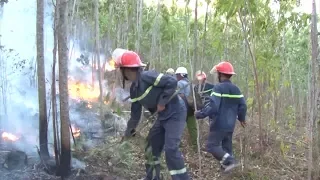 Chương trình thời sự 11h30 ngày 27-8-2019