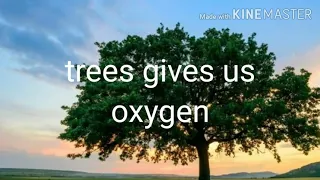 Save trees; save life