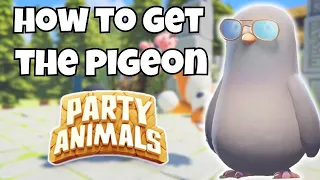 Party Animals How To Get The Pigeon!