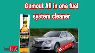 Gumout All in one fuel system cleaner