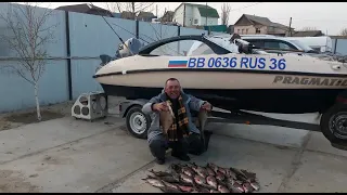 Сегодняшний астраханский улов гостей из Воронежа.