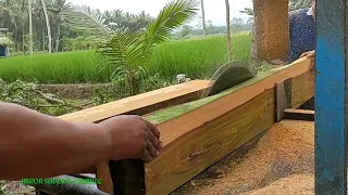 Sangat cemerlang galih kayu jowar ini, namun sayangnya hanya di buat usuk untuk bahan kandang