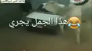 an arabfunny meme that appeared on a kids site