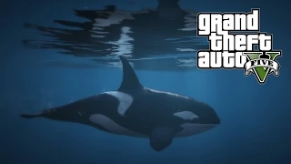 GTA V PS4 - Como ser una Orca, Tiburón, Delfín, Pez Manta y Más - Peyote 6 de 27 - Easter Egg GTA 5