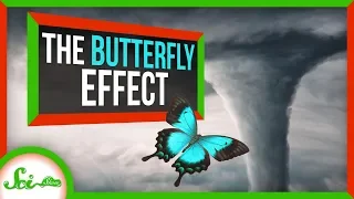 How a Butterfly’s Wingbeat CAN Change the Weather