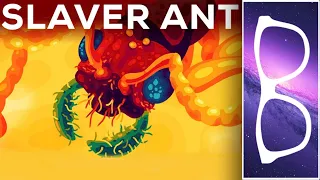 "The Horror of the Slaver Ant" by Kurzgesagt Reaction!