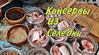 Как приготовить консервы. Автоклав. Дунайская СЕЛЕДКА. простой Рецепт # 210