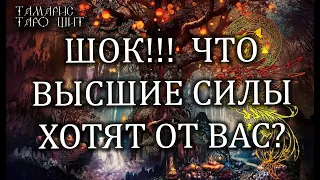 ШОК! ЧТО ВЫСШИЕ СИЛЫ ХОТЯТ ОТ ВАС? 🌔🔥💯 ГАДАНИЕ РАСКЛАД ТАРО