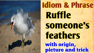 Idiom Ruffle someone's feathers meaning with origin picture trick @EBoleTohEnglish #idiomorigin #ssc