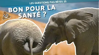 MANGER SES CROTTES, LES ANIMAUX ONT ILS RAISON ? - LQPB 25