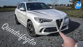 Alfa Stelvio Quadrifoglio (510hp) - #AutomannTalks🇬🇧🇩🇪