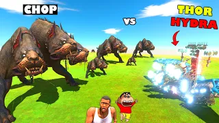 NOOB CHOP Upgraded into MONSTER 3 HEADED CHOP in Animal Revolt Battle Simulator | NOOB PRO HACKER