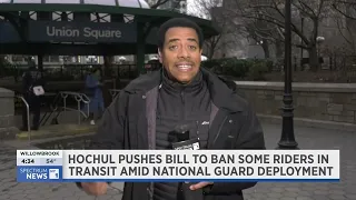 Banning New Yorkers from the Public Transit System