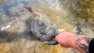 I Thought I Hooked A Log... KING OF THE SPILLWAY!!! (Accidental Catch)