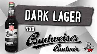 Dark Lager von Budweiser Budvar | Craft Bier Verkostung #1496