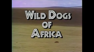 Wild Dogs of Africa (1991)