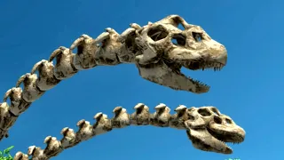 SKELETON SAUROPOD DINOSAUR WITH 2 HEADS VS HERBIVORES | ANIMAL REVOLT BATTLE SIMULATOR