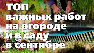 ОГОРОД И САД В СЕНТЯБРЕ. Что делать в первую очередь, а что можно отложить