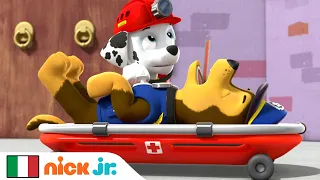 PAW Patrol - La Squadra dei Cuccioli | Chase Si Ammala! | Nick Jr.