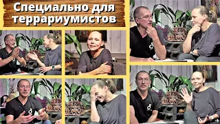 Специально для террариумистов. Животные из-за границы. В чем проблемы и где брать?