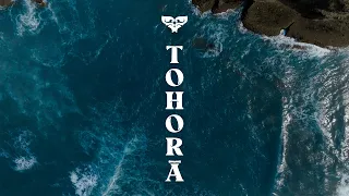 Introducing Tohorā