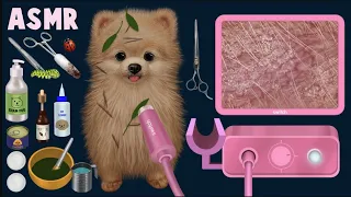 [ASMR|스톱모션] Homeless puppy transformation | ear cleaning | tick removal | dog grooming