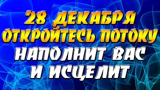 28 декабря 2021 года - прогноз дня - откройтесь потоку - наполнит вас и исцелит